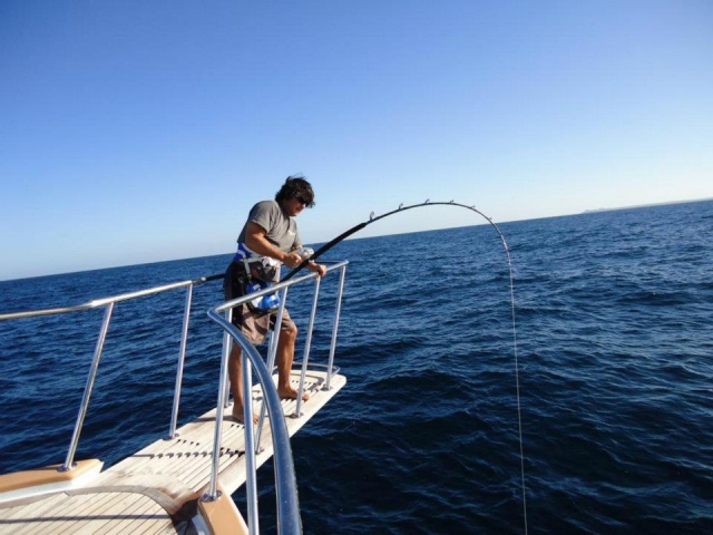 Pescanso en la plataforma